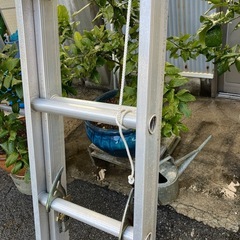 11371😺　二連梯子　2連はしご　EX-70 7m31cmの画像