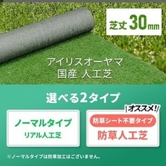 【無料】人工芝の画像