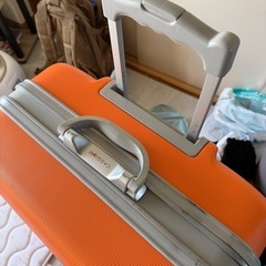 キャリーバッグ　　サイズ大きいです。の画像