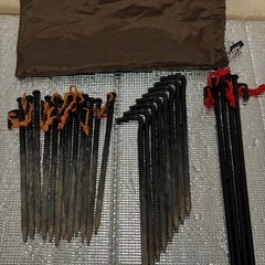 スノーピーク　エントリーパックTTの画像