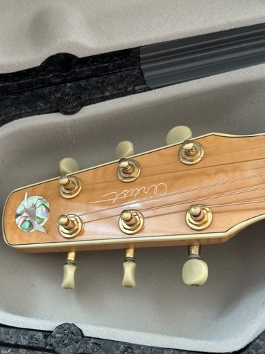 【決まりました】Seagull Artist Cameo CW Deluxe QⅡ