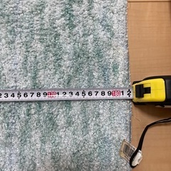 【2/25以降取引】ニトリ　カーペットの画像