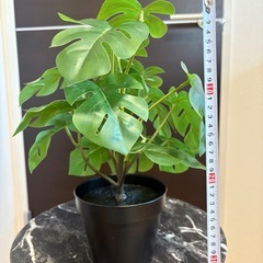 IKEA FEJKA 人工観葉植物の画像