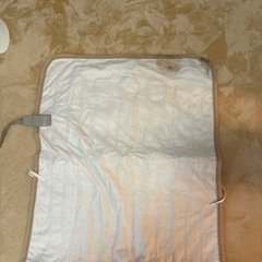 電気　　毛布　　決定の画像