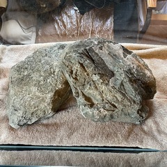 ADA水槽セットの画像