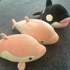 決まりました！の画像