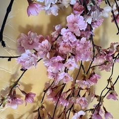 フェイクグリーン　枝垂れ桜の画像