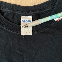 THE NINTH APOLLO ロンTの画像