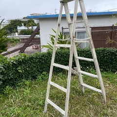 ヴィンテージカントリーラダー　木製梯子の画像