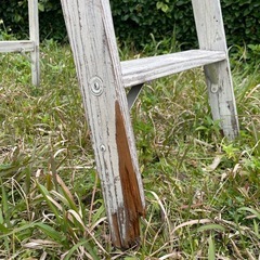 ヴィンテージカントリーラダー　木製梯子の画像