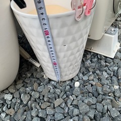 植木鉢　観葉植物　の画像