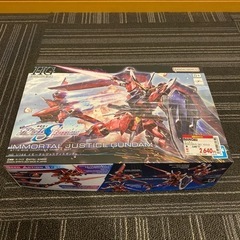 HGライジングフリーダム&イモータルジャスティスの画像