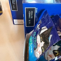 猫ちゃんご飯
の画像