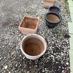 植木鉢色々の画像