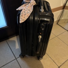 キャリーバッグ　スーツケース　小さいサイズの画像