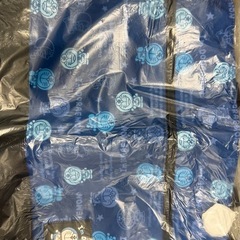 【未使用】ドラえもん 子ども用トートバッグ／レッスンバッグの画像