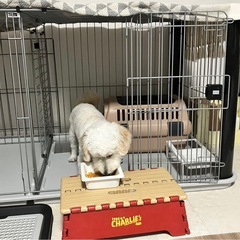 ペットゲージ　ヤマヒサ　ヴィラフォートサークル　ワイド　ツールームの画像