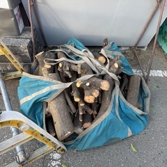 1/31追加‼️薪　木工 の画像