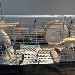 三晃イージーホームエボ　80の画像