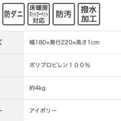 【98%引】ダイニングカーペットの画像