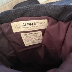 THE NORTH FACE ALPHA ブーツNF51491 27cmの画像