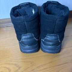 THE NORTH FACE ALPHA ブーツNF51491 27cmの画像
