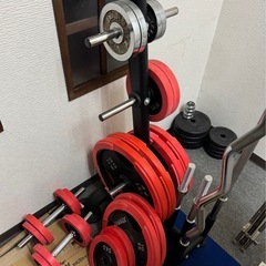 アイロテック　120kgの画像