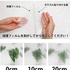 窓用目隠しシートの画像