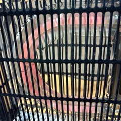 山善　こたつの画像