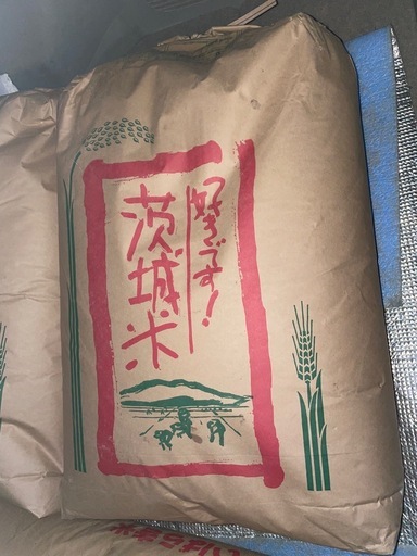 令和6年度　コシヒカリ　玄米30キロ
