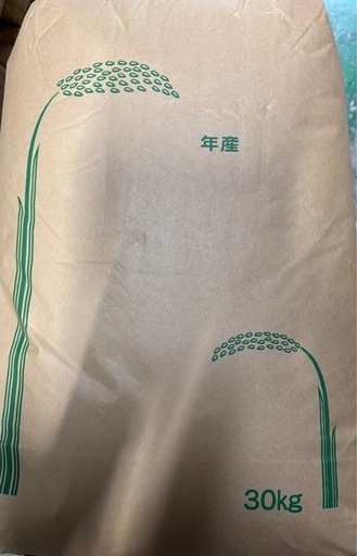 令和7年愛媛県産ヒノヒカリ玄米30kg