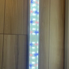 Gex   クリアライト60cmの画像