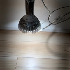 Gex   クリアライト60cmの画像