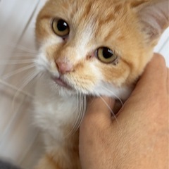 2/8(日)フミフミ大好きフミオ君甘えん坊で寂しがりや