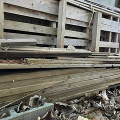 木材 製材 廃材 材料 木 パレットの画像