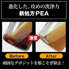 AZ FCR-062 PREMIUM 燃料添加剤 1L FP601 ガソリン添加剤 ディーゼルにもの画像