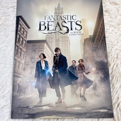 【セット販売】ハリーポッター映画大全＋ファンタスティックビースト パンフレット セットの画像