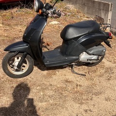 広島発 AF61トゥディ 原付 調子良好 ホンダの画像