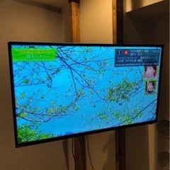 【ほぼ確定】テレビ40型とテレビ台セット　美品の画像