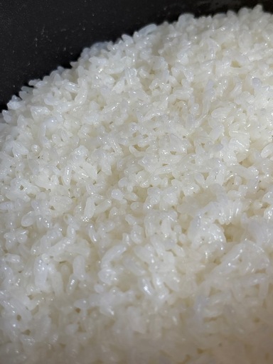 令和7年度産　山形米　精米済み　一袋２７キロ入り