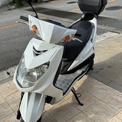 シグナスＸの画像