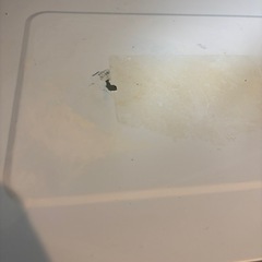 SERIO オーブンレンジ 16L YRC-J161-W-YAMAZEN(山善)の画像