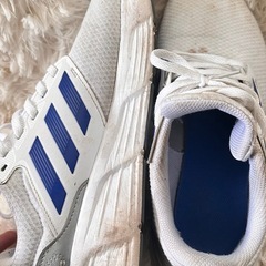 メンスニーカーadidasの画像