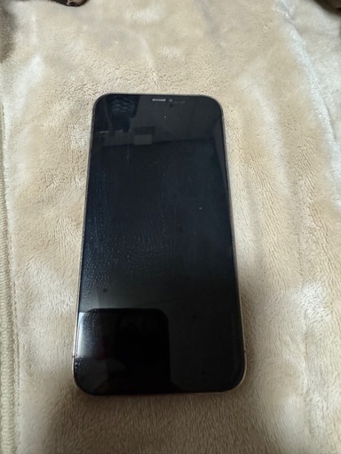 iPhone12Promax256GBゴールド
