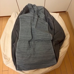 無印良品　ビーズクッション　2個　
人をダメにするソファ　　カバー4枚の画像