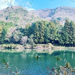 ラインでおしゃべりできる友達を募集してます🌟