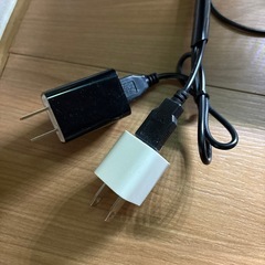 ブセファランドラsp.クダガンの画像