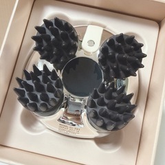 «美品» ゾーガンキンスカルプの画像