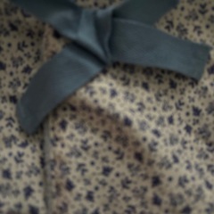 防寒ケープ　　ブランケットの画像