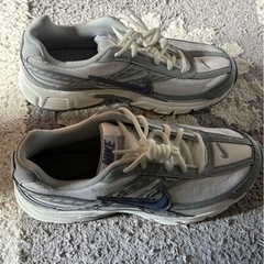 NIKE ナイキ スニーカー 24.5cm グレー の画像